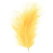 Plumes jaunes décoratives pour fleuristes en boîte de 50 pièces ENKELS