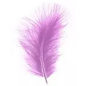 Plumes décoratives lavande en boîte pour compositions florales et décoration événementielle