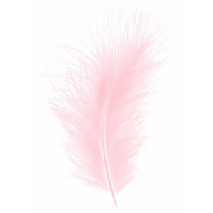 Plumes rose clair pour décoration florale professionnelle et compositions de mariage