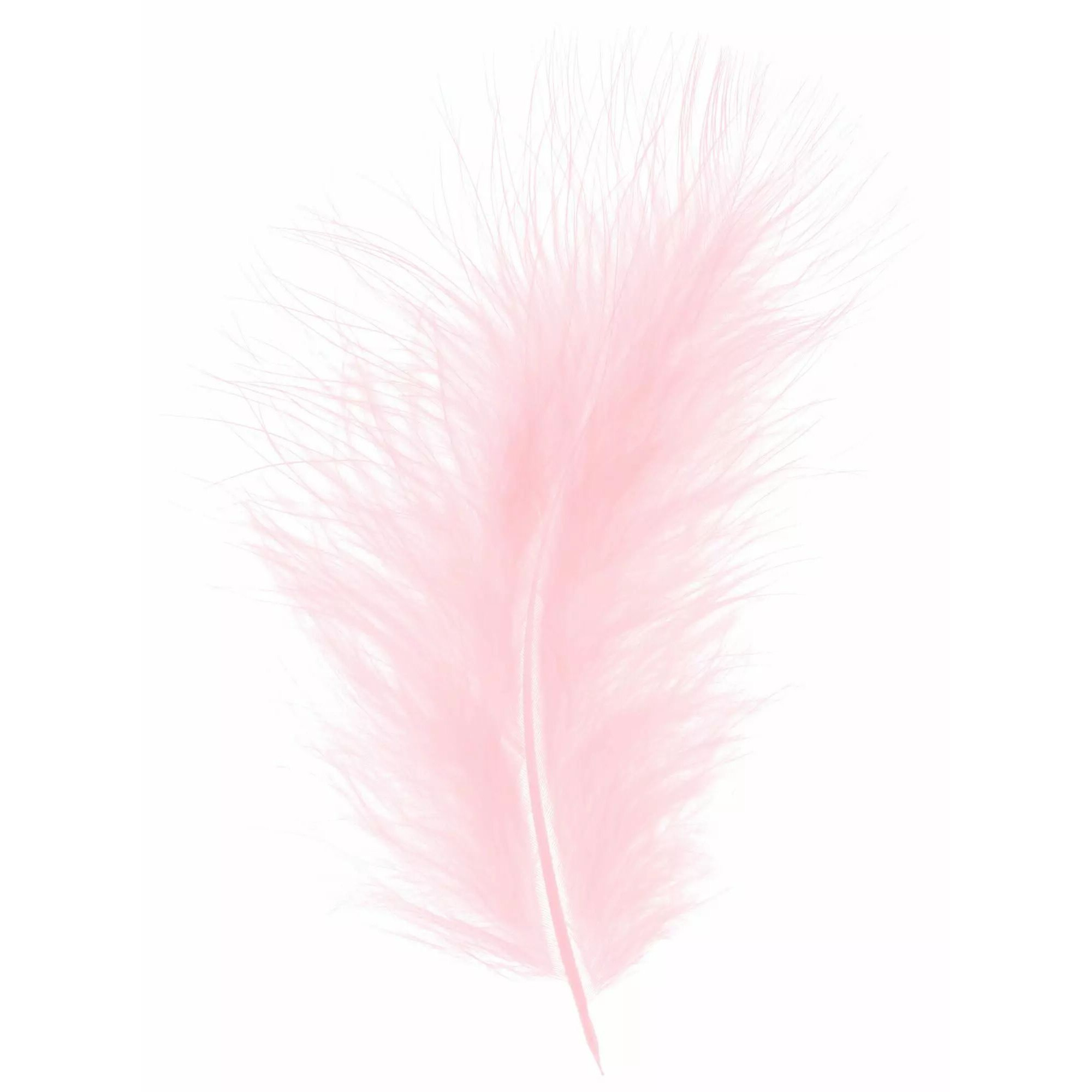 Plumes rose clair pour décoration florale professionnelle et compositions de mariage