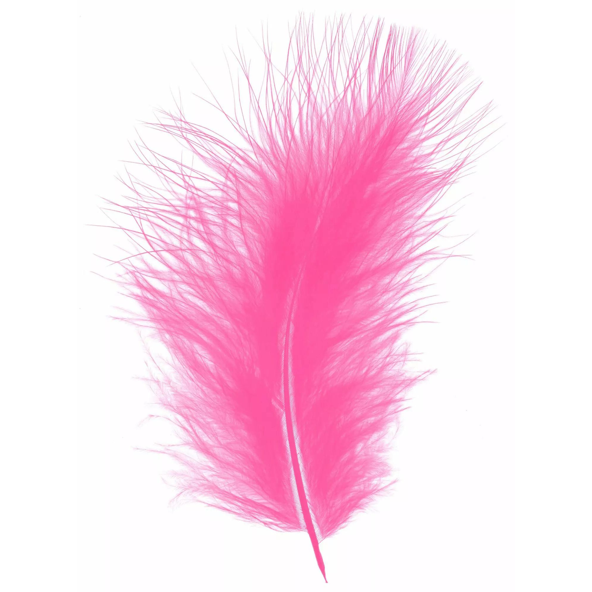 Plumes décoratives rose foncé pour compositions florales et décoration florale professionnelle