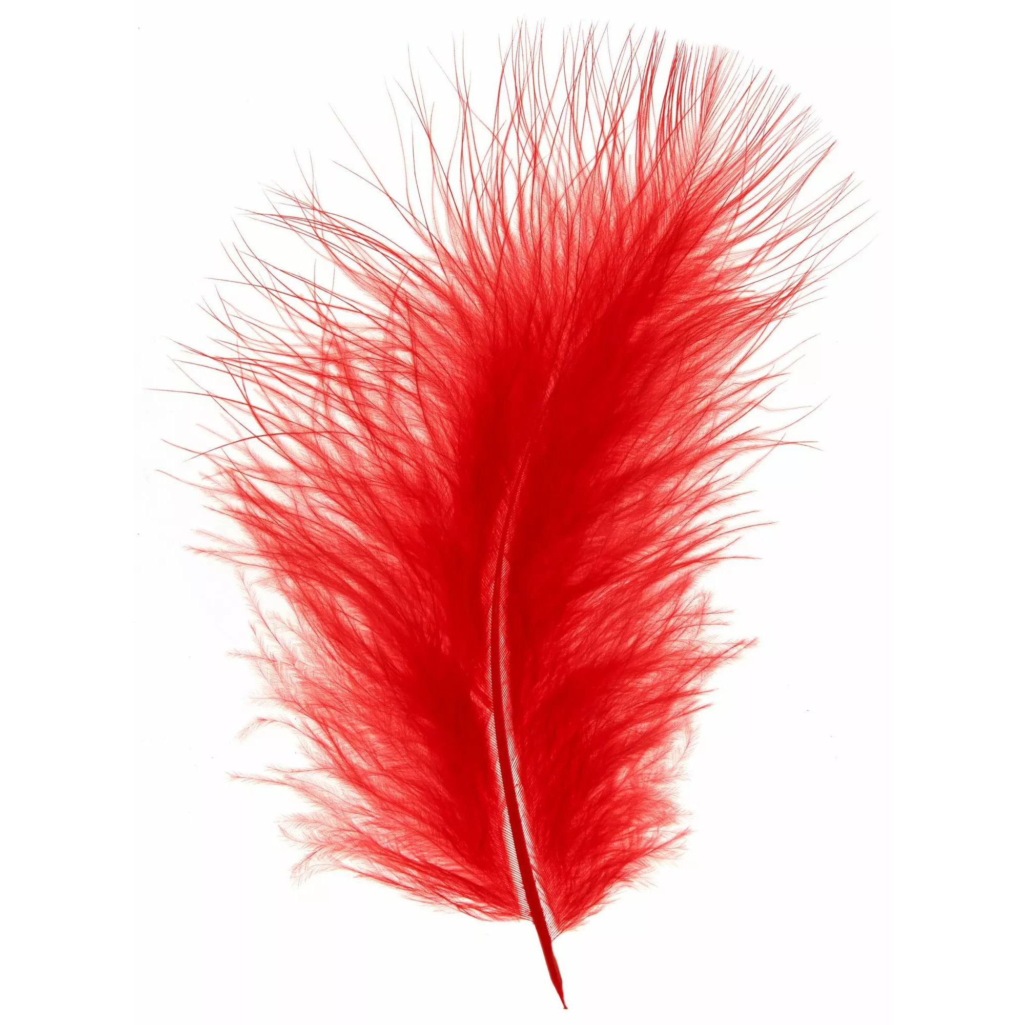 Plumes rouges naturelles en boîte pour décoration florale et compositions de fleuriste