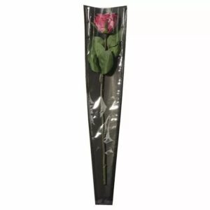 Poche à rose kraft noir 55 cm PAARDEKOOPER pour emballage floral professionnel de roses longues tiges