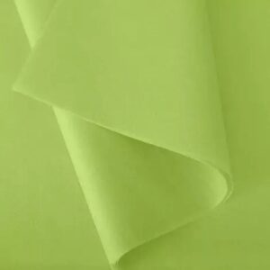 Rame de papier de soie vert pomme 18g pour emballage floral professionnel