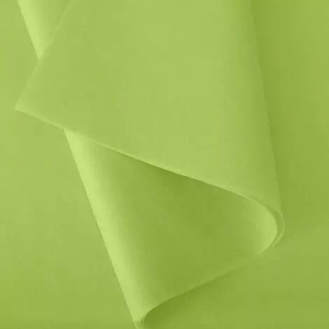 Rame de papier de soie vert pomme 18g pour emballage floral professionnel