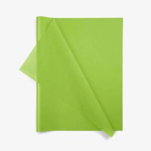 Rame de papier de soie vert pomme 17 grammes pour emballage floral professionnel