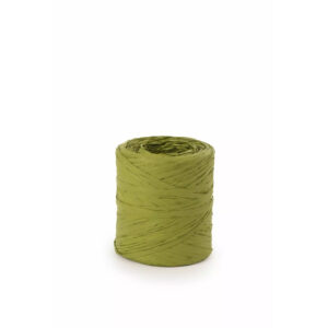 Raphia naturel vert pistache 15mm pour compositions florales et bouquets de fleuriste