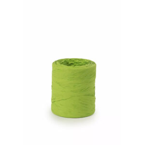Raphia naturel vert anis 15mm bobine 200m pour art floral et compositions florales