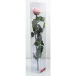 Rose stabilisée premium rose sur tige 26cm pour compositions florales et décoration fleuriste