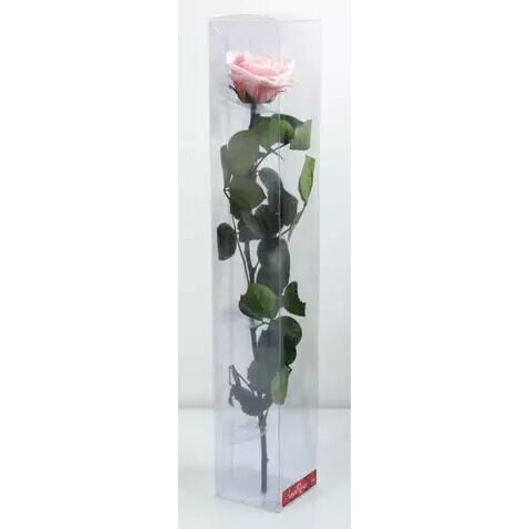 Rose stabilisée premium rose sur tige 26cm pour compositions florales et décoration fleuriste
