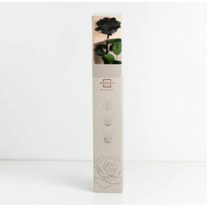 Rose stabilisée premium noire sur tige de 54 cm pour compositions florales professionnelles