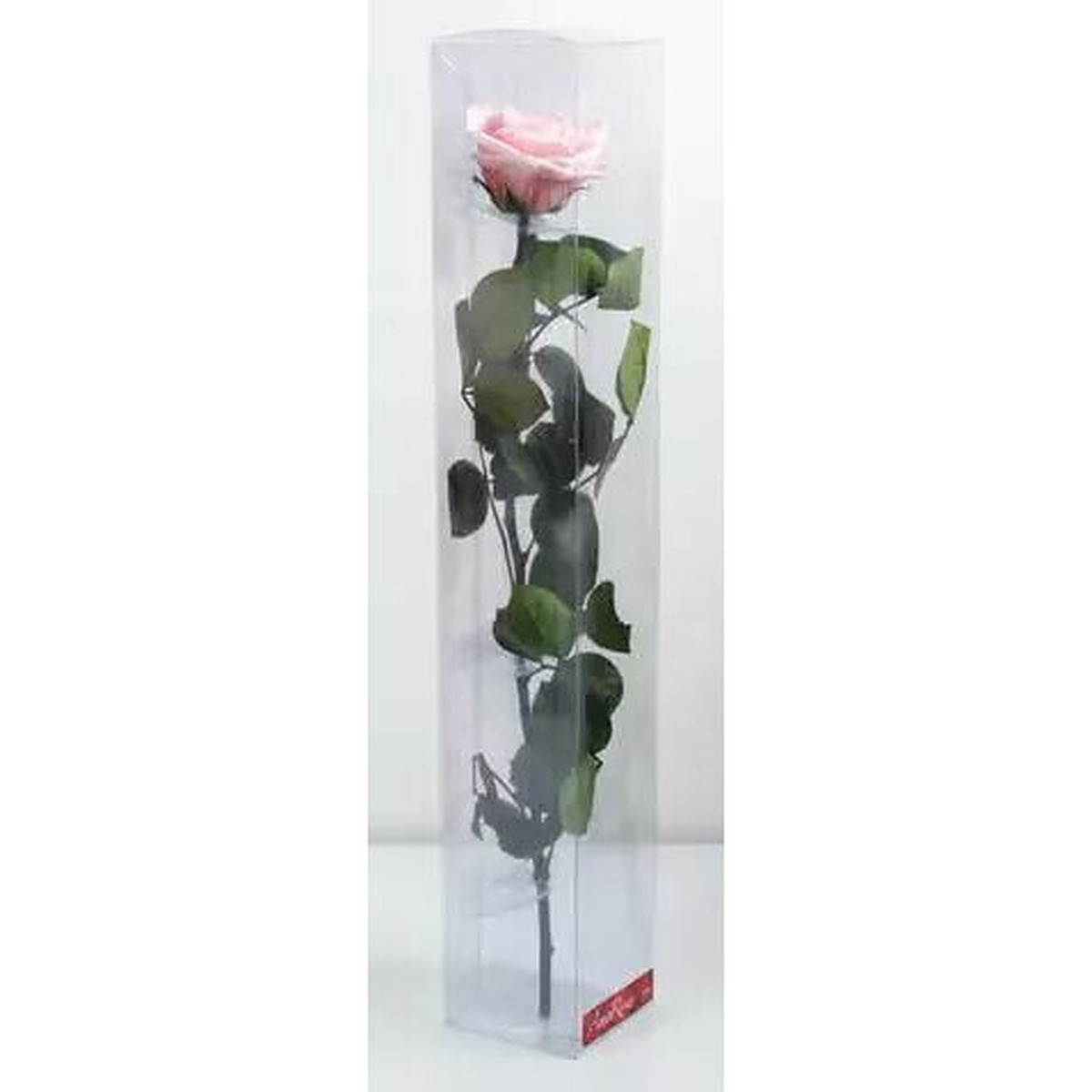 Rose stabilisée rose Premium sur tige 54cm pour compositions florales durables et décoration florale professionnelle