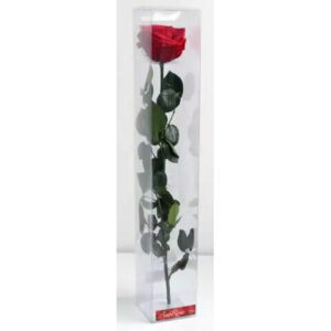 Rose stabilisée rouge sur tige 54cm pour compositions florales professionnelles fleuristes