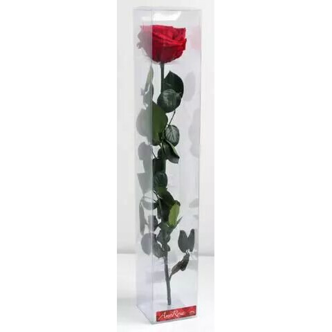 Rose stabilisée rouge sur tige 54cm pour compositions florales professionnelles fleuristes