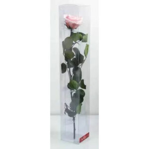 Rose stabilisée premium fushia sur tige 54cm pour compositions florales professionnelles