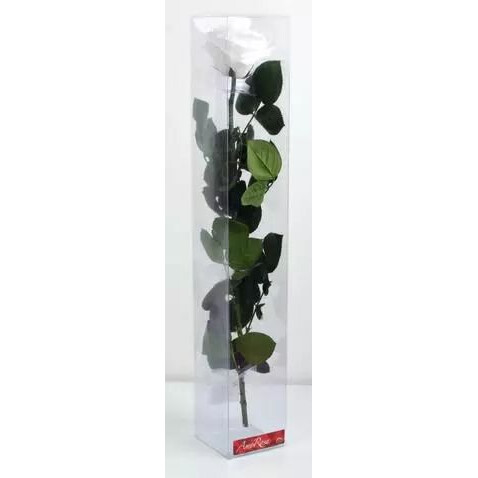 Rose stabilisée blanche naturelle VERDISSIMO sur tige 54cm pour compositions florales professionnelles