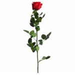 Rose stabilisée rouge 54 cm sur tige pour compositions florales professionnelles et décoration florale longue durée