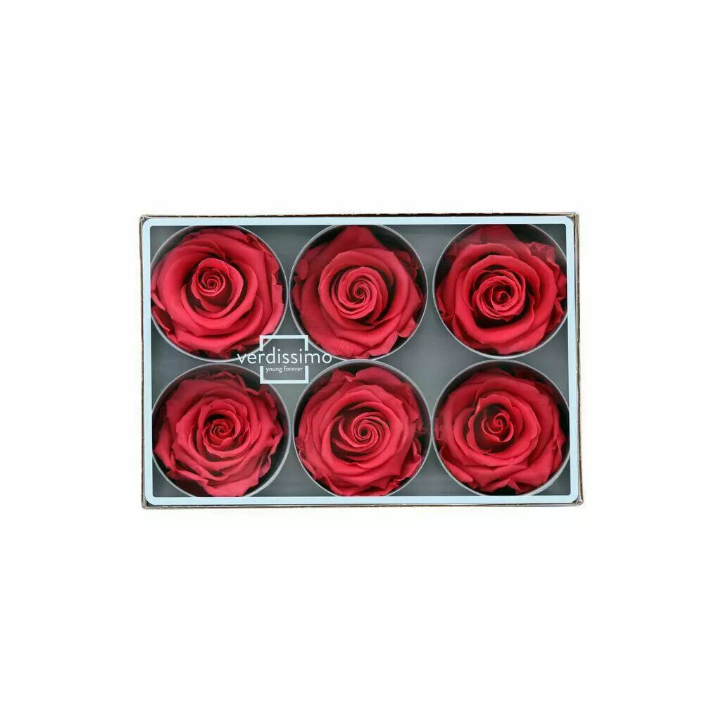 Rose stabilisée standard violet pour fleuristes, lot de 6 unités préservées par glycérine, vue 2