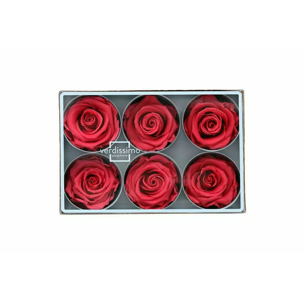 Roses stabilisées noires en lot de 6 pour créations florales professionnelles, vue 2