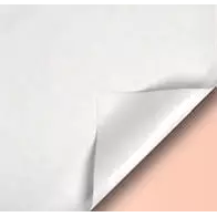 Rouleau de film polypropylène bulle perle mat blanc pour emballage professionnel de bouquets de fleurs avec réserve d'eau