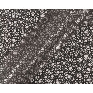 Rouleau de film bulle noir motif boucles pour emballage floral professionnel
