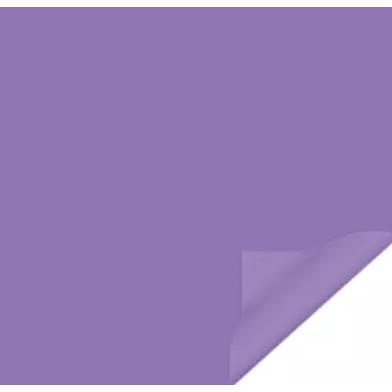 Rouleau de film bulle uni lilas Lucido pour emballage floral professionnel
