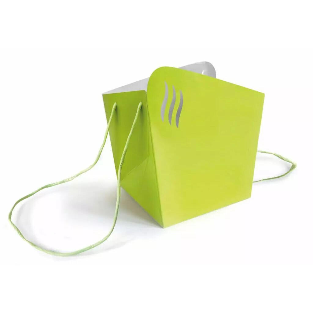 Sac carton vert anis Alagos pour porte-bouquet fleuriste 18x18 H20 cm