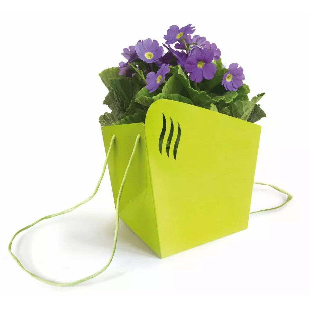Sac carton vert anis Alagos CLAYRTON'S pour porte-bouquet fleuriste 18x18 H20 cm, vue 2