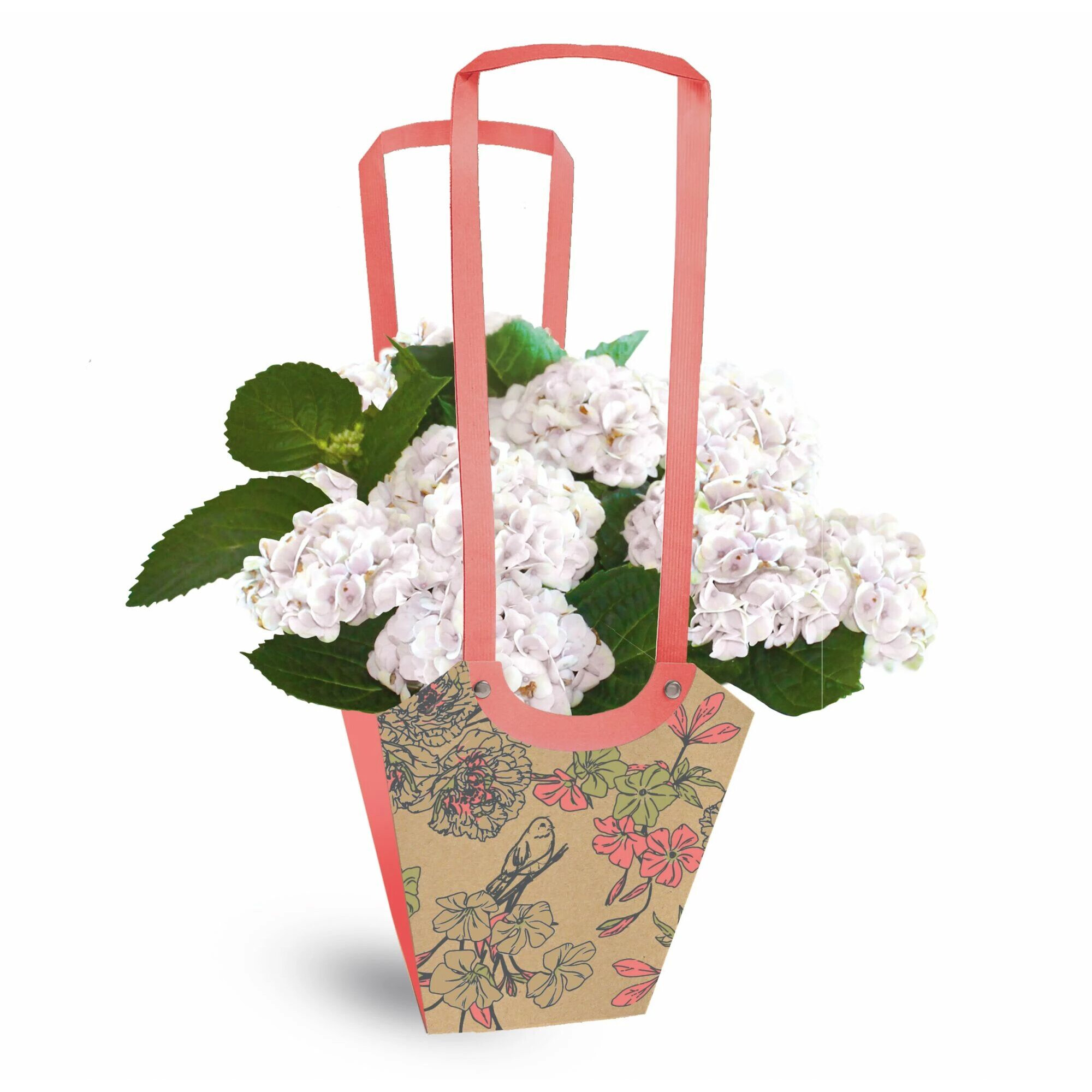 Sac carton fleuriste Aqua Birdy rose et vert avec grandes anses pour transport bouquets et plantes