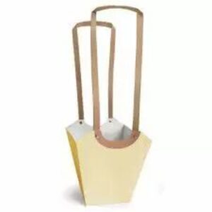 Sac carton Aqua crème avec grandes anses pour fleuriste, intérieur plastifié, adapté aux pots de fleurs diamètre 8-9 cm