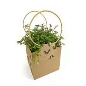 Sac en carton naturel Evidence Holly pour présentation de bouquets avec Rapid'eau pour fleuristes