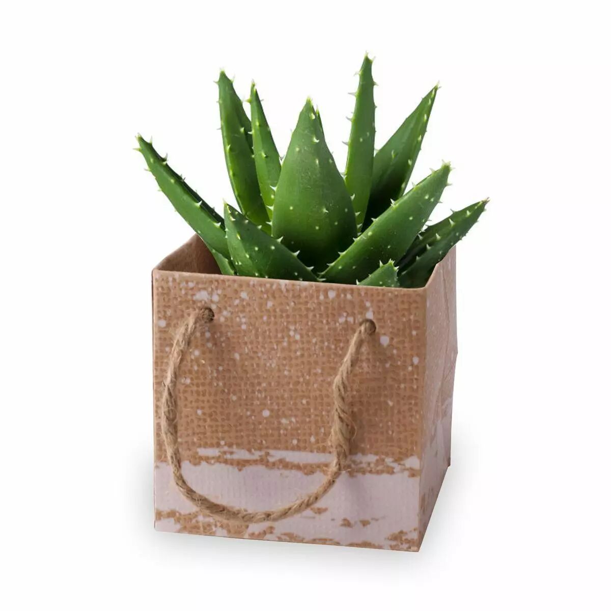 Sac carton gris avec anses pour transport de bouquets fleuriste KOEN PACK 10x10x10 cm, vue 2
