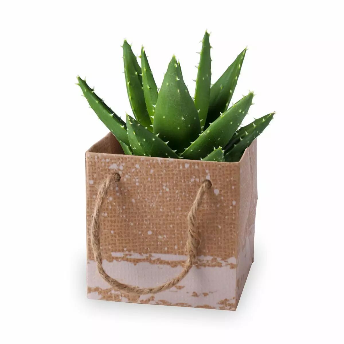Sac carton vert avec anses Kirsten 10x10x10 cm KOEN PACK pour transport de pots et bouquets fleuriste, vue 2