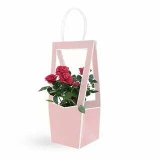 Sac en carton médaillon rose CLAYRTON'S pour fleuriste, dimensions 10x12 H35 cm, adapté aux compositions florales avec Rapid'eau