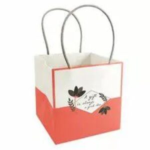 Sac carton porte-bouquet Mood couleur saumon 15x15x15 cm pour fleuriste