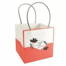 Sac carton porte-bouquet Mood couleur saumon 15x15x15 cm pour fleuriste CLAYRTON'S