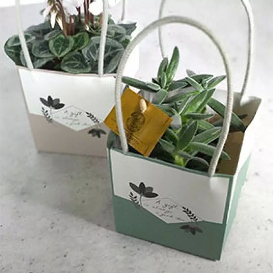 Sac carton porte-bouquet Mood couleur saumon 15x15x15 cm pour fleuriste CLAYRTON'S, vue 2