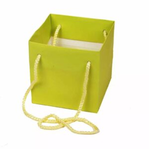 Sac kraft vert anis 13x13x13 cm avec cordelière pour transport de bouquets fleuriste