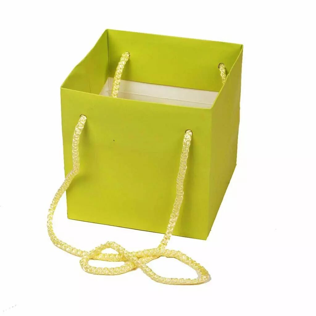 Sac kraft vert anis 13x13x13 cm avec cordelière pour transport de bouquets fleuriste RYTHM EMBALLAGES