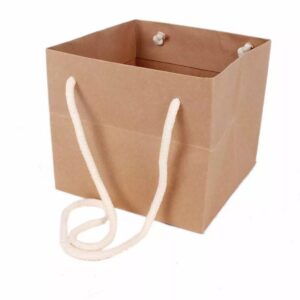 Sac kraft naturel Cadoc avec cordelière pour transport de bouquets fleuriste