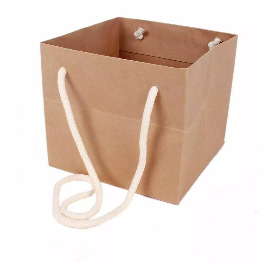 Sac kraft naturel Cadoc avec cordelière pour transport de bouquets fleuriste