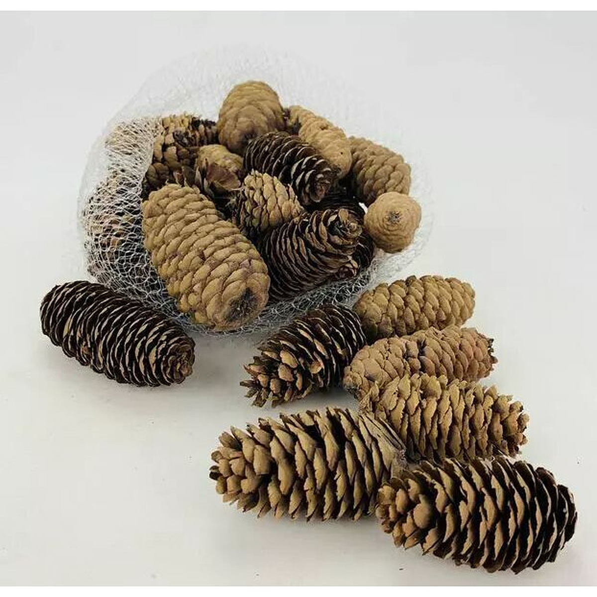 Sachet de pommes de pin naturelles 400g pour compositions florales et décorations de fleuriste