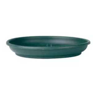 Soucoupe ronde en plastique 30 cm vert sapin pour cache-pot et protection surface fleuriste