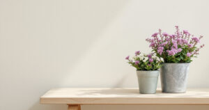 Cache-pots en zinc naturel, à décor de pommes de pin et vert sauge, garnis de bruyères et de cyclamens