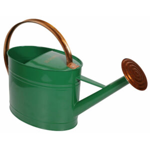 Arrosoir ovale en métal vert avec anse et pomme couleur cuivre pour vitrine et arrosage de fleuriste