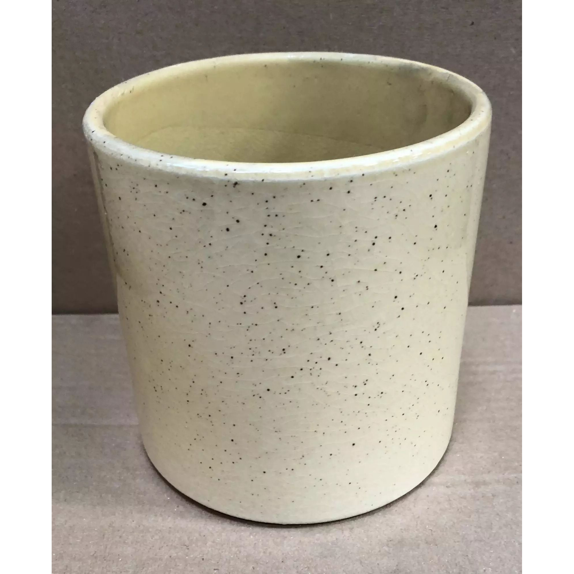 Cache-pot cylindrique en céramique émaillée beige moucheté pour orchidée en boutique de fleuriste