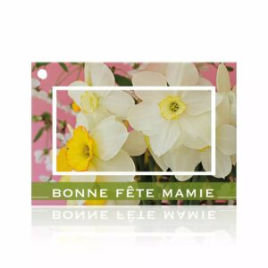 Carte Bonne fête Mamie à photo de narcisses blancs et bandeau vert pour fête des grands-mères