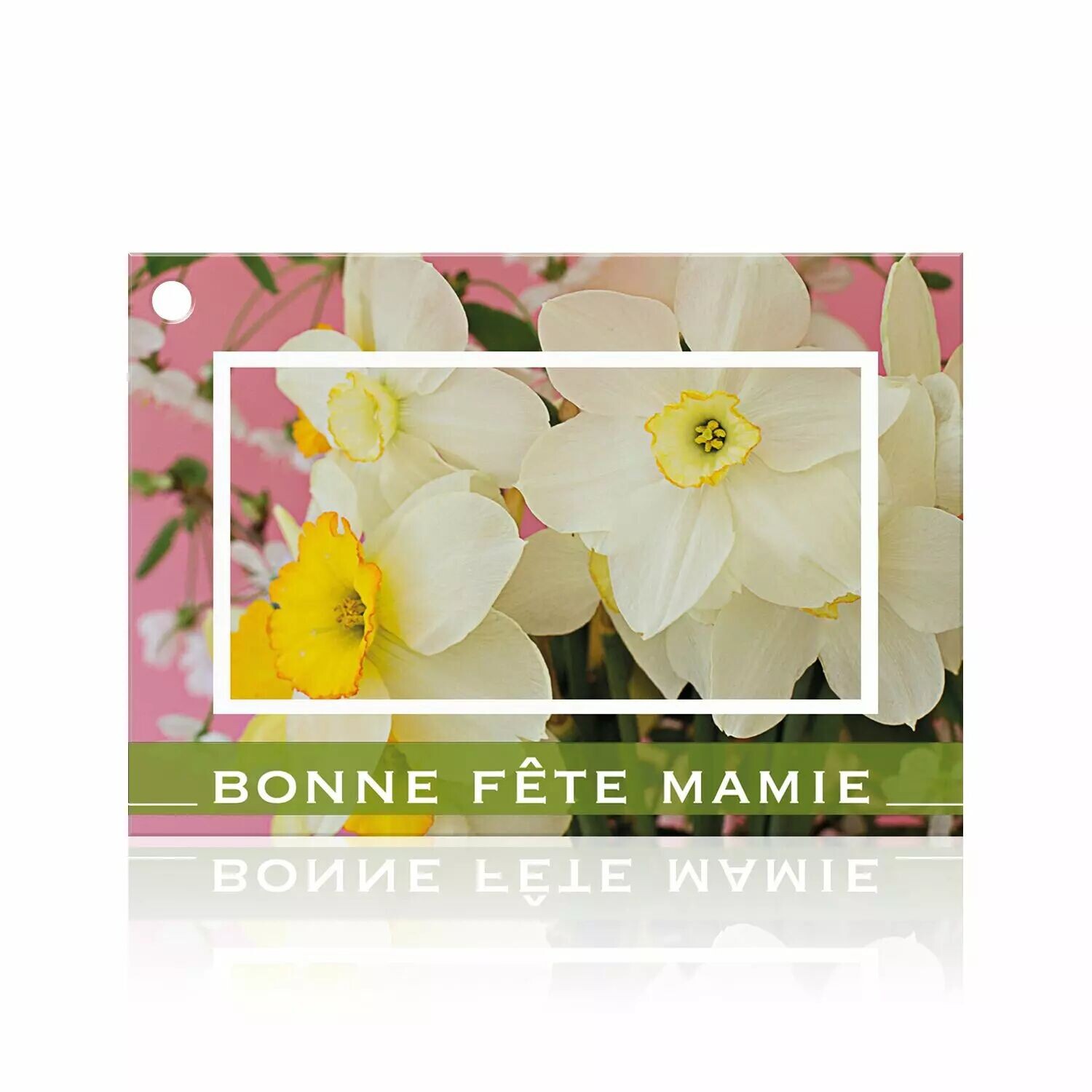 Carte Bonne fête Mamie à photo de narcisses blancs et bandeau vert pour fête des grands-mères
