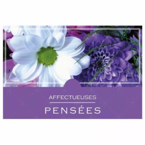 Grande carte Affectueuses pensées à photo de fleurs blanches et violettes pour compositions de deuil