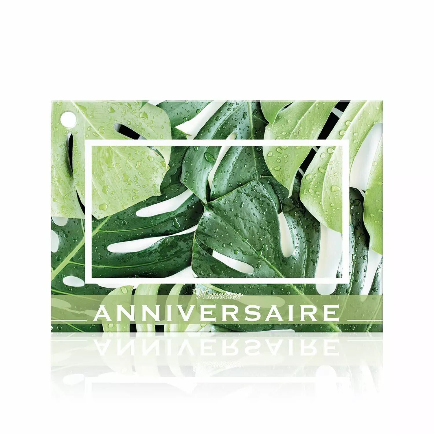 Carte Heureux anniversaire à photo de feuilles de monstera et bandeau vert pour plante offerte